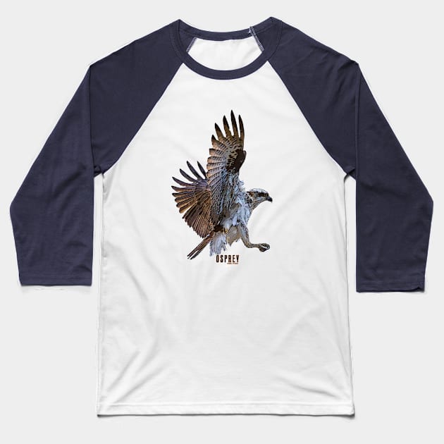 Osprey_03 Baseball T-Shirt by seadogprints